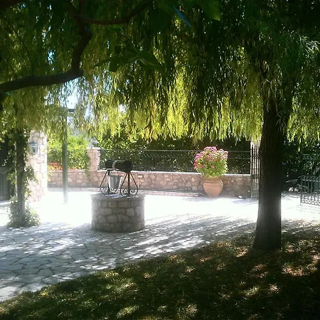 Sterna Asprogerakata