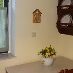 Sterna *